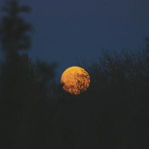 小志和林姨的小说免费阅读
