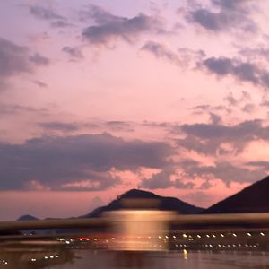 小志和林姨的小说免费阅读
